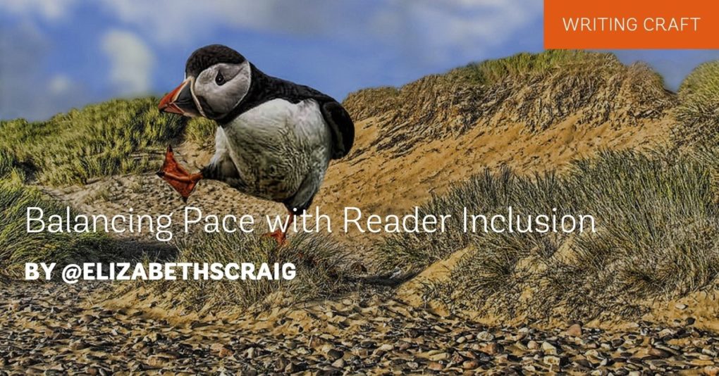 Balancing Pace with Reader Inclusion is a blog post by Elizabeth Spann Craig