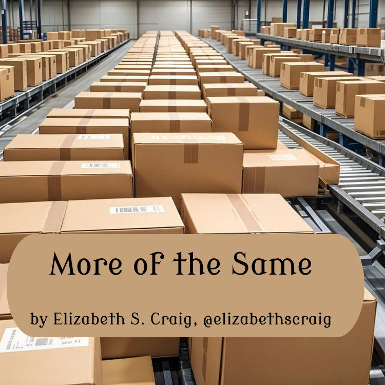 More of the Same – Elizabeth Spann Craig